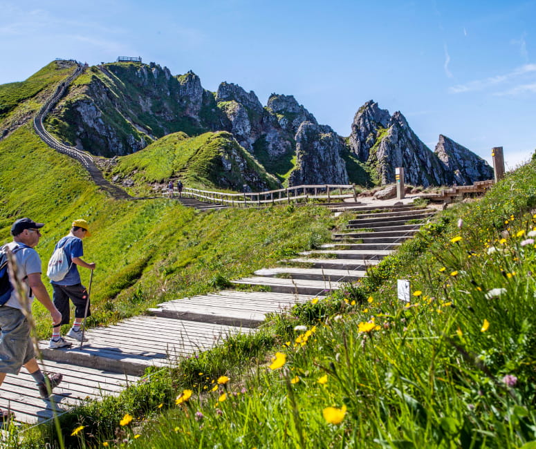 sancy • Auberge de l'Allagnonette